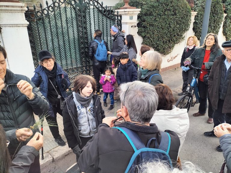Los árboles de nuestro pueblo: paseo botánico por Rocafort