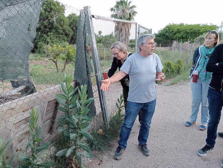 Paseo botánico por Rocafort ¿Malas hierbas?